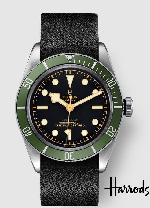 Tudor Black Bay M79230G-0001 Replica Watch